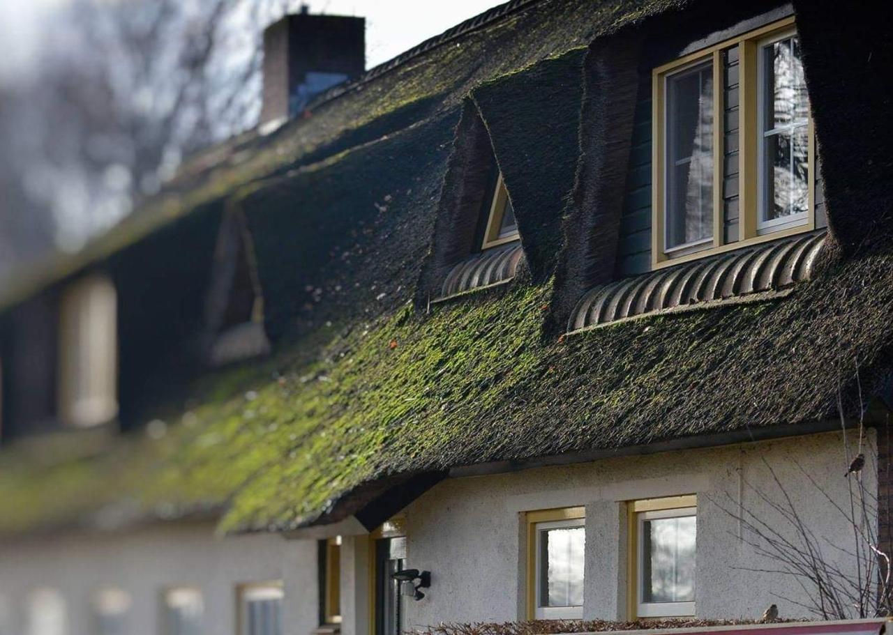 Restaurant De Joremeinshoeve Hotel 3*